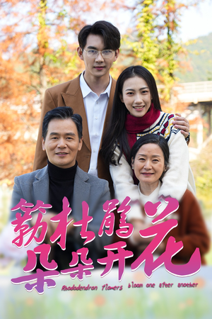 簕杜鹃花朵朵开（38集）短剧全集免费