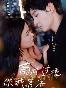 南风国境你我皆客（80集）免费短剧完整版