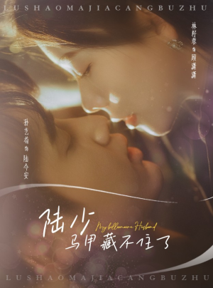 陆少马甲藏不住了（63集）热门短剧推荐。