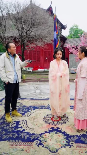 厉先生，夫人她总想演反派（60集）精彩连连免费看