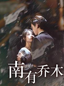 南有乔木（60集）最新上映免费看