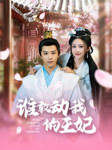 谁敢动我的王妃（62集）热门短剧大全