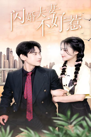 闪婚夫妻不好惹（90集）网上可以看吗