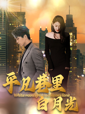 平凡巷里白月光（33集）最后的大结局