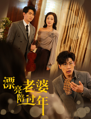 漂亮老婆陪过年（60集）精彩好看的短剧