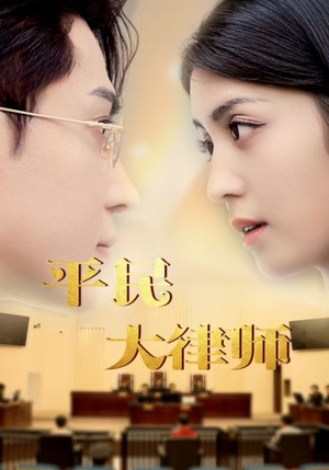 平民大律师（95集）番茄免费短剧