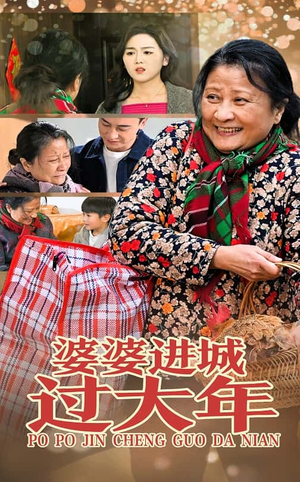 婆婆进城过大年（33集）超级好看的短剧