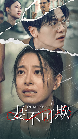 妻不可欺（51集）免费在线看全集