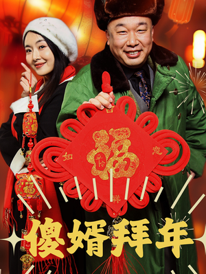 傻婿拜年（32集）演的怎么样