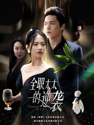 全职太太的逆袭（80集）热门短剧分享