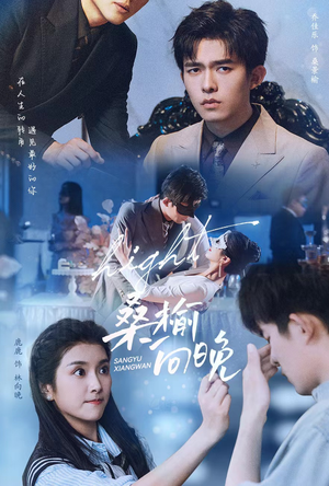 桑榆向晚（65集）超好看的短剧