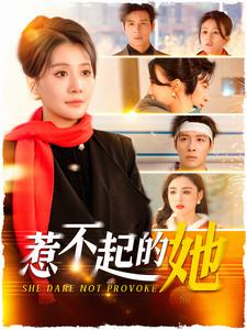 惹不起的她（106集）免费看全集