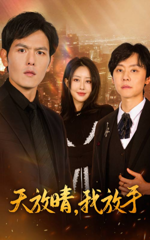 天放晴，我放手（35集）短剧在线看