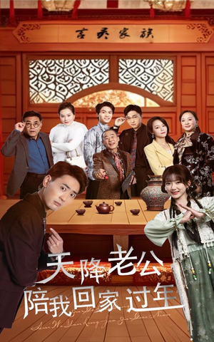 天降老公陪我回家过年（60集）热播短剧重燃