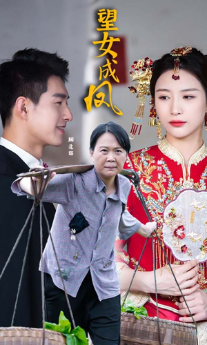 望女成凤（74集）迅雷网盘观看