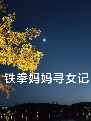 铁拳妈妈寻女记（69集）剧好看短剧推荐