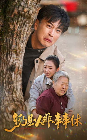 物是人非事事休（41集）好看短剧抢先看