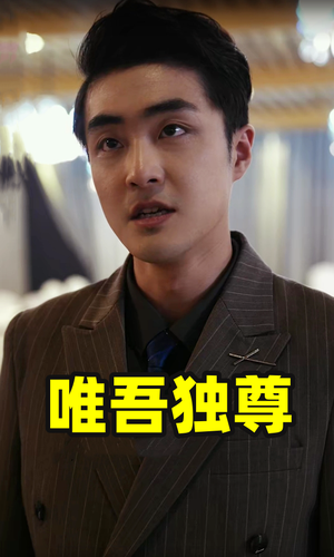 唯吾独尊（96集）完整版