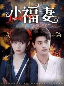 小福妻（62集）短剧片段推荐