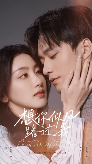 想你似风路过我（40集）红果短剧看全集