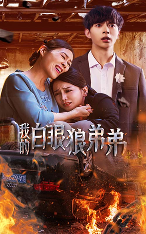 我的白眼狼弟弟（69集）短剧前十排行榜