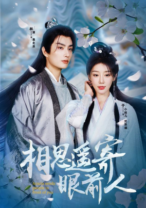 相思遥寄眼前人（83集）短剧热门分享