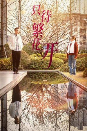 只待繁花开（35集）女主角是谁