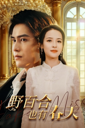 野百合也有春天（85集）贝贝短剧分享