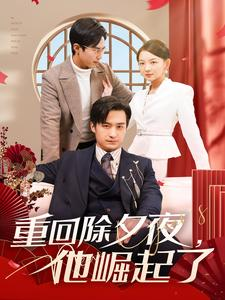 重回除夕夜他崛起了（89集）红果免费短剧