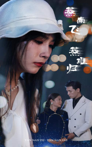 燕南飞，燕难归（31集）短剧分享片段