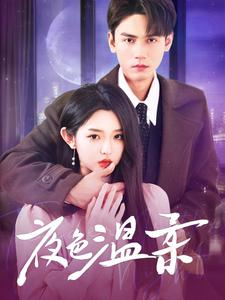 夜色温柔（98集）精彩短剧下载