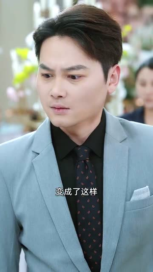 以雅以南（35集）评价怎么样