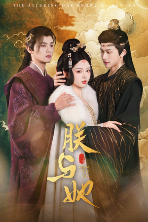 朕与她（64集）免费短剧大全