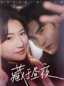 藏于昼夜（68集）全集