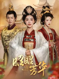 昭昭芳华（81集）爱上了这部剧了