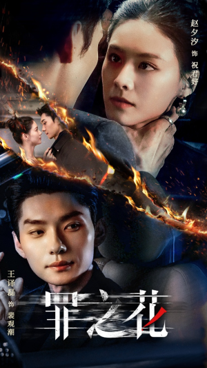 罪之花（56集）热播短剧全集看