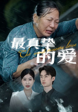 最真挚的爱（76集）热播短剧追不停