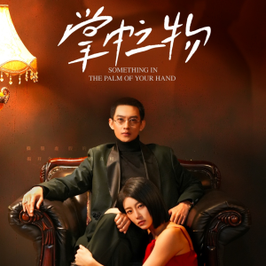 掌中之物（62集）精彩的网络短剧