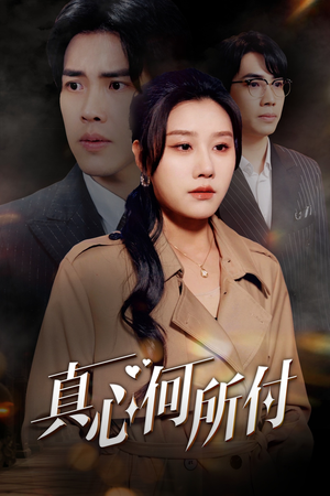 真心何所付（30集）更新时间