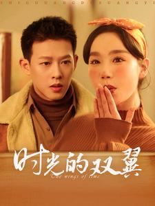 时光的双翼（94集）短剧追不停