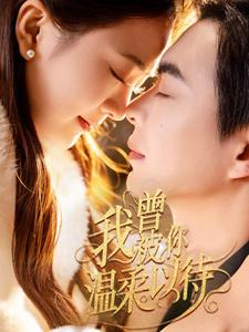 我曾被你温柔以待（57集） 好看短剧追不停