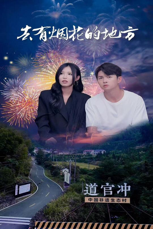 去有烟花的地方（63集） 免费观看全集