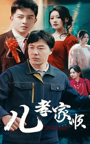 儿孝家顺（78集） 在线播放