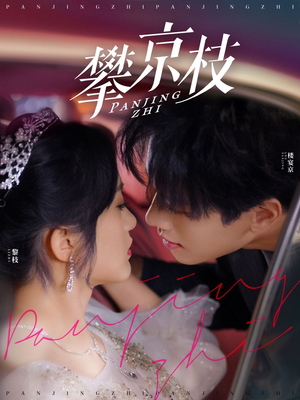 攀京枝（80集） 古装热门短剧