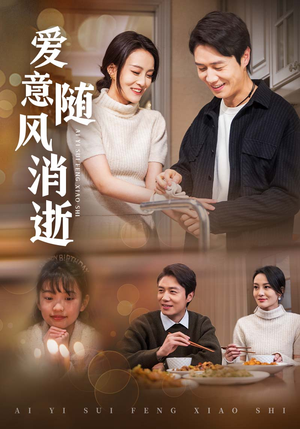 爱意随风消逝（47集） 红果短剧免费看