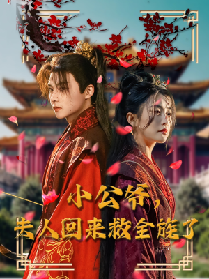 小公爷夫人回来救全族了（100集） 好看的短剧电影