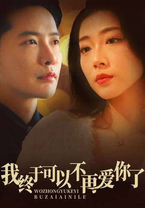 我终于可以不再爱你（60集） 剧情简介