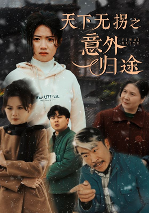 天下无拐之意外归途（61集） 热门短剧推荐。