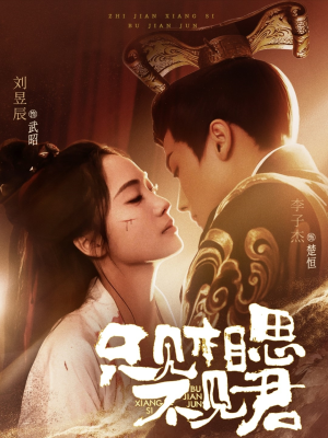 只见相思不见君（82集） 热播短剧免费看