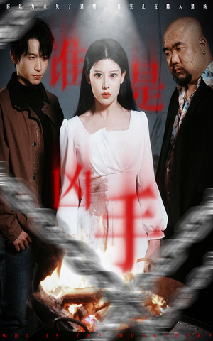 谁是凶手（31集） 西瓜短剧免费看